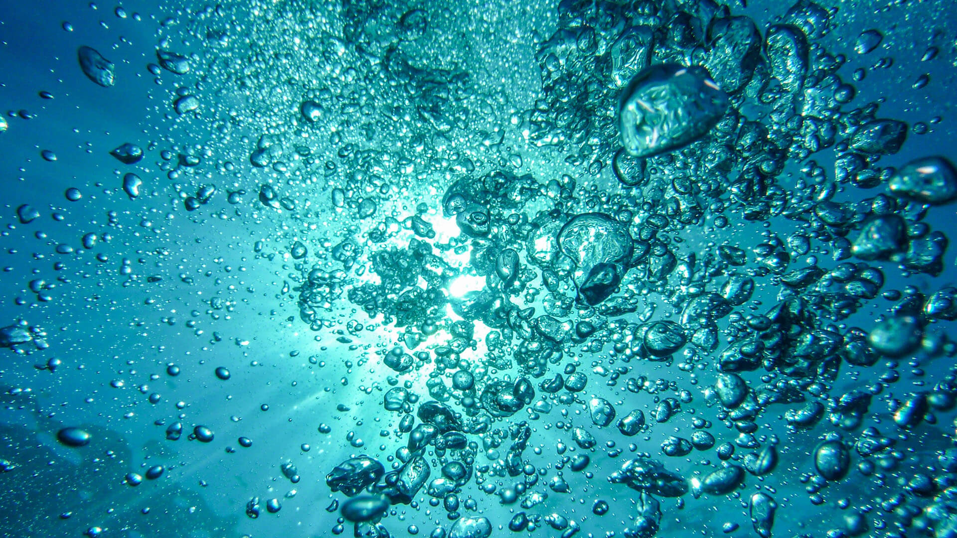 SwimWay COVID Guidelines - Autumn Term 2021